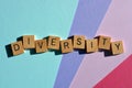 Diversity, word in 3D wooden alphabet letters isolated on colour background