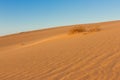 Divided photography on two part by sand and sky. Lands and panorama background. Sustainable ecosystem. Yellow dunes at