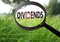 Dividends Royalty Free Stock Photo