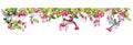 Divider with fuchsia flowers and hummingbird bird. Decorative frame from tropical design. Ornament of blossom plants and