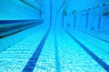 Dividers of paths in the big swimming pool