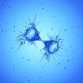 A dividing cancer cell Royalty Free Stock Photo