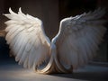 Divine Beauty: Mesmerizing Angel Wing Prints to Illuminate Your Decor