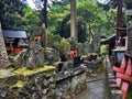 Divine Gateway: Fushimi Inari Taisha Temple Gate and statues in forest, Kyoto, Japan Royalty Free Stock Photo