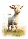 Divine Innocence: A Closeup of an Adorable Goat in a Serene Mead