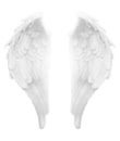 Divine Light White Angel Wings Royalty Free Stock Photo