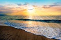Divine Sunset Ocean Bird Flying Inspirational Uplifting Beautiful Spiritual Ethereal Hope Silhouette Sun Rays Royalty Free Stock Photo