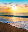 Divine Sunset Ocean Bird Flying Vertical Inspirational Uplifting Beautiful Spiritual Ethereal Hope Silhouette Sun Rays Royalty Free Stock Photo
