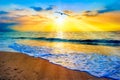 Divine Sunset Ocean Bird Illustration Royalty Free Stock Photo