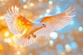 Divine Wings: An Angelic Element Set for Heavenly Designs Royalty Free Stock Photo