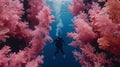 Diving adventure exploring enigmatic seaweed and colorful coral reef life underwater