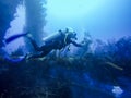 Diving in Barbados, Caribbean