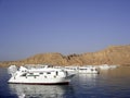 Scuba diving tour boats anchored at Red Sea Royalty Free Stock Photo