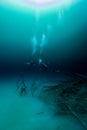 Diving in Cenote Angelita, Mexico