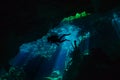 Diving in the cenote underwater cave, Quintana roo Royalty Free Stock Photo