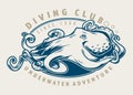 Diving club vintage colorful emblem Royalty Free Stock Photo