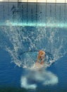 Diving competition Royalty Free Stock Photo