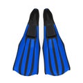 Diving fins isolated Royalty Free Stock Photo