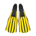 Diving Fins Isolated