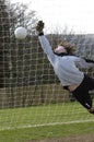 A Diving goalkeeper missing a save !!