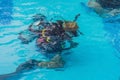 Diving instructor and students. Instructor teaches students to dive Royalty Free Stock Photo