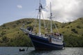 Diving in Komodo Island, Indonesia.