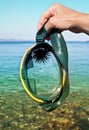 Diving mask with sea urchin Royalty Free Stock Photo
