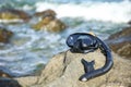 Diving mask and snorkel tube on a rocky seashore Royalty Free Stock Photo