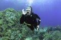 Diving in Mediterranean Sea - Majorca Royalty Free Stock Photo