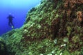 Diving in Mediterranean Sea - Majorca Royalty Free Stock Photo