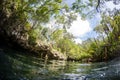 Diving in Mexican Cenote underwater cave Royalty Free Stock Photo