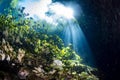 Diving in Mexican Cenote underwater cave Royalty Free Stock Photo