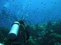 Diving in the ocean. Diver silhouette scuba