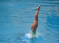 Diving in the Olympic Games 2016