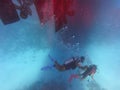 Diving people underwater in sea with corals and fish around, scuba diver open waters beginner course with professional instructor