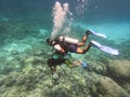 Diving people underwater in sea with corals and fish around, scuba diver open waters beginner course with professional instructor