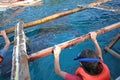 Diving in during Whale Shark Watching