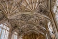 Divinity school ceiling, Oxford, University, England, United Kingdom Royalty Free Stock Photo