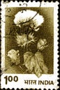 02 11 2020 Divmoe Stavropol Territory Russia the Postage Stamp India 1983 Agriculture Cotton Plant
