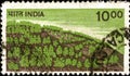 02.09.2020 Divmoe Stavropol Territory Russia postage stamp India 1984 -1988 Reafforestation forest on the hill