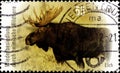 02 10 2020 Divnoe Stavropol Krai Russia the postage stamp Germany 2012 Repopulation of the Indigenous Wildlife the Elk Moose Alces