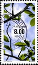 02.09.2020 Divnoe Stavropol Territory Russia the Danish Postage Stamp 2011 EUROPA Stamps - The Forest. Spanworm Geometridae on