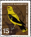 02 11 2020 Divnoe Stavropol Territory Russia the postage stamp Germany 1963 Birds Golden Oriole Oriolus oriolus yellow bird on