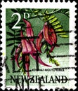 02.09.2020 Divnoe Stavropol Territory Russia postage stamp New Zealand 1960 Local Motifs - Flowers Parrot`s Beak Clianthus