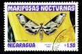 07.24.2019 Divnoe Stavropol Territory Russia Postage stamp Nicaragua 1983 year Series Night butterflies mariposas nocturnas pholus