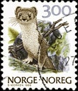 02.11.2020 Divnoe Stavropol Territory Russia postage stamp Norway 1989 Norwegian Animals Mustela erminea Stoat Ermine beast in the