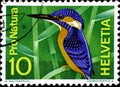 02 10 2020 Divnoe Stavropol Territory Russia postage stamp Switzerland 1966 Events - Nature Protection Common Kingfisher