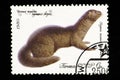 07.24.2019 Divnoe Stavropol Territory Russia - USSR postage stamp 1980. series - Valuable breeds of fur animals. The mink is dark