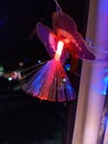 Diwali Colourful Butterfly Light in Evening, India