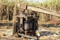 Traditional machine crushing sugarcane juice by buffaloes.